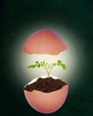 Broken Eggshell With Growing Plant on Chalkboard Background and Copy Space Royalty Free Stock Photo
