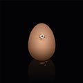 Broken Eggshell Hatching Baby Chick Eye Chicken Looking Out Of Egg Royalty Free Stock Photo