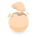 Broken eggshell icon, isometric style