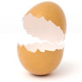 Broken Eggshell Royalty Free Stock Photo