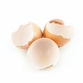 Broken eggshell Royalty Free Stock Photo