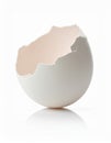 Broken Eggshell with White Interior on a White Background with Reflection Royalty Free Stock Photo