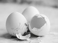 Broken Eggshells Royalty Free Stock Photo