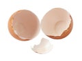 Broken eggshells on white background Royalty Free Stock Photo