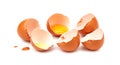 Broken Eggshells on White Background Royalty Free Stock Photo