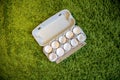 10 broken empty egg shells lie in a box on artificial grass. top view, close-up Royalty Free Stock Photo