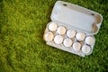 10 broken empty egg shells lie in a box on artificial grass. top view, close-up, place for copyspace Royalty Free Stock Photo