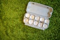 10 broken empty egg shells lie in a box on artificial grass. top view, close-up, place for copyspace Royalty Free Stock Photo