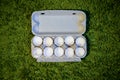 10 broken empty egg shells lie in a box on the green grass. top view, close-up Royalty Free Stock Photo