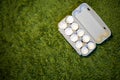 10 broken empty egg shells lie in a box on the green grass. top view, close-up, place for copyspace Royalty Free Stock Photo