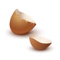 Broken empty eggshell isolated on white background. Vector realistic brown egg.