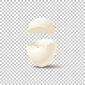 Broken empty eggshell on transparent background. Vector realistic design element. Royalty Free Stock Photo