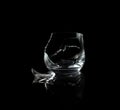 Broken empty whiskey glass isolated on black background Royalty Free Stock Photo