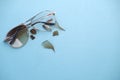 broken eye glass on table with copy space Royalty Free Stock Photo