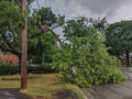 Broken fallen tree branch after severe heavy thunder storm. Royalty Free Stock Photo
