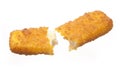 Broken Fish stick