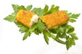 Broken Fish stick Royalty Free Stock Photo