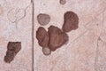 Broken floor tile detail. Construction issues. Damaged surface Royalty Free Stock Photo