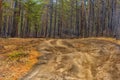 forest road Siberia