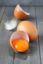 Broken fresh egg