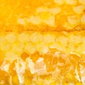 Broken fresh yellow honey comb