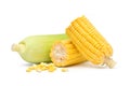 Broken freshly peeled corn in half