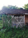 Broken garage overgrown with plants