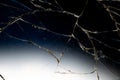 Broken glass background. Abstract background composition with scratches and cracks. Breakage minimalism composition Royalty Free Stock Photo