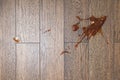 Broken glass bottle of bright red tomato sauce on white tile floor with roll of white paper towel, scene from above