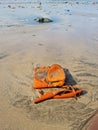 Hand bag pollution on Mumbai Versova beach endangering marine life Royalty Free Stock Photo