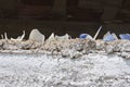 Broken glass bottles on the top of a wall helping to create a deterrent from people climbing the wall