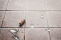 Broken glass on the floor, alcohol abuse Royalty Free Stock Photo