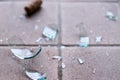 Broken glass on the floor, alcohol abuse Royalty Free Stock Photo