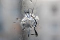 Broken glass. Hole, cracks in the window from the fragment of the projectile. Avdeevka. Ukraine. Background, texture. Royalty Free Stock Photo