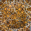 Broken glass mosaic tile, decoration in Park Guell, Barcelona, S Royalty Free Stock Photo