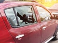 Broken glass on the passenger door of a passenger car parked. The concept of crime of car theft, theft of valuables Royalty Free Stock Photo