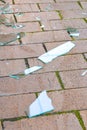 Broken glass. Pieces of broken glass on the paving stones. The concept of destruction