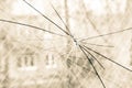 Broken Glass Sepia Royalty Free Stock Photo