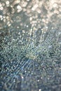 Broken glass texture with selective focus Royalty Free Stock Photo