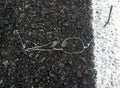 Broken glasses left on the road surface Royalty Free Stock Photo