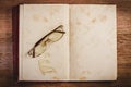 Broken old eyeglasses on old book Royalty Free Stock Photo