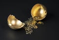 The broken Golden egg, and from it poured out the Golden symbols of the dollar, Euro, profit