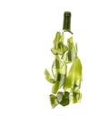 Broken green glass bottle on a white background Royalty Free Stock Photo