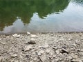 Broken grey rocks and water at shore of river or lake Royalty Free Stock Photo