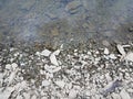 Broken grey rocks and water at shore of river or lake Royalty Free Stock Photo