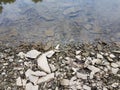 Broken grey rocks and water at shore of river or lake Royalty Free Stock Photo