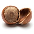 Broken Hazelnut Shell Isolated on White Background Royalty Free Stock Photo