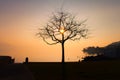 Broken Heart Shape Tree Branches with Sunset in its Center Royalty Free Stock Photo