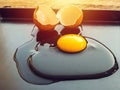 Broken hen egg on black dish with morning light Royalty Free Stock Photo