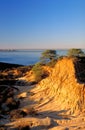 Broken Hill at Sunrise, Vertical Cover Shot